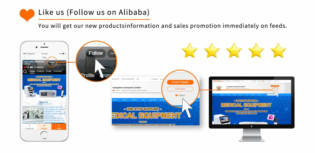 Endoscope System Overview