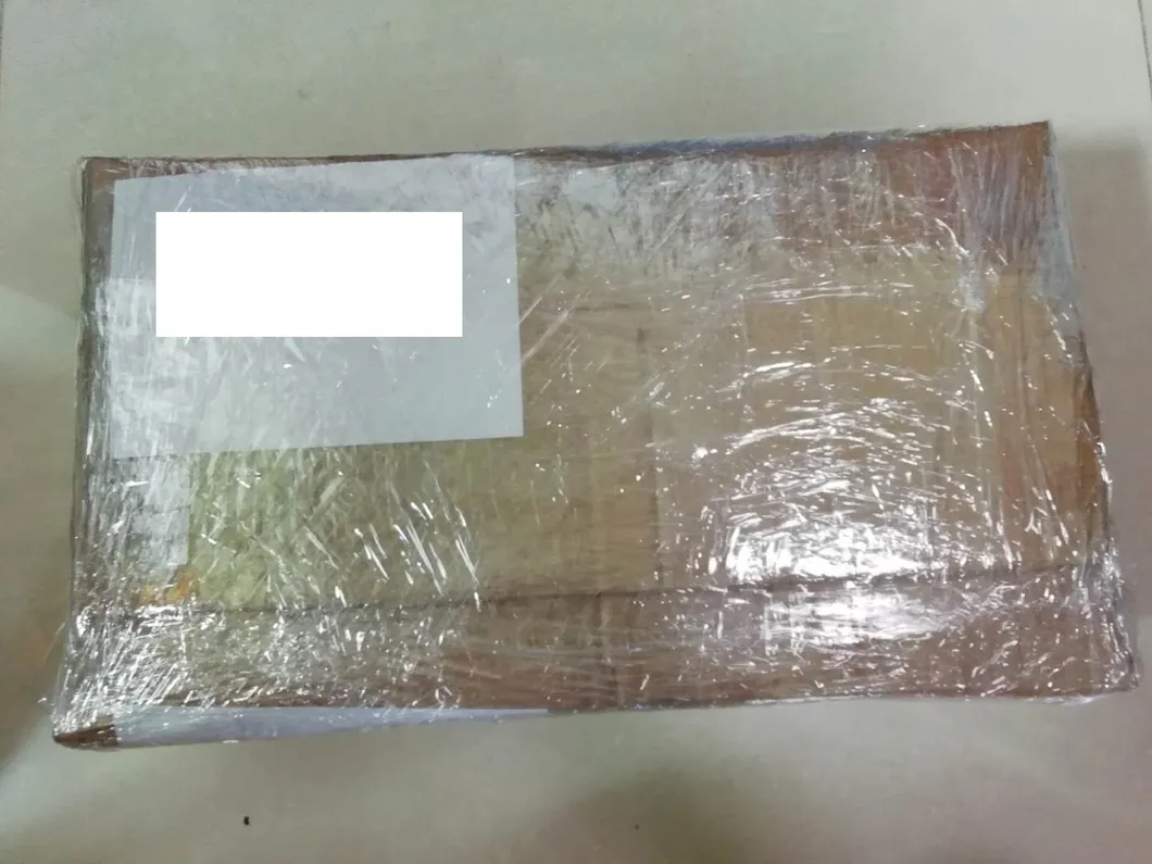 CCD Lens for Olympus Endoscope 1