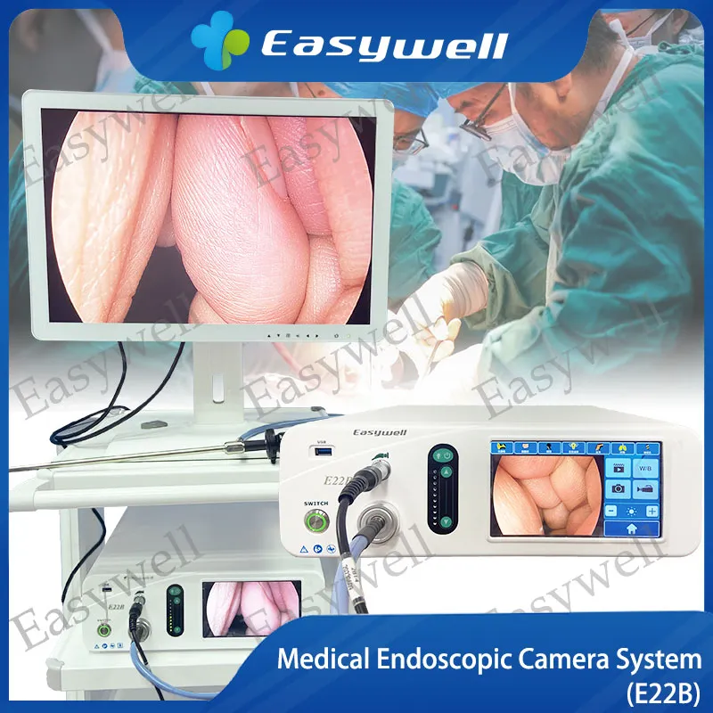 Endoscopic Image System Main Unit