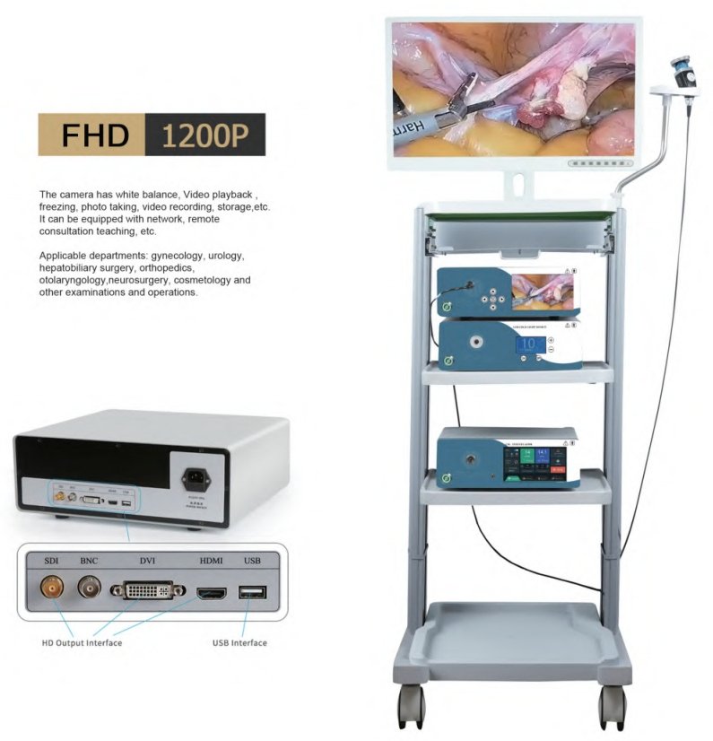 Hot Sale HD Endoscopic Camera Laparoscope Ent HD Rigid Endoscope System