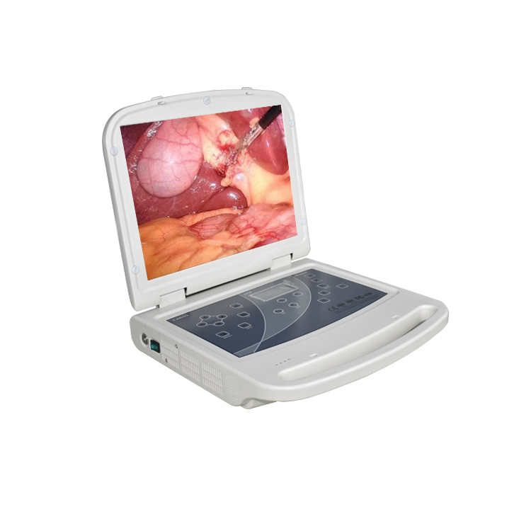 Advanced Affordable Integrated Endoscopic System for Medical Imaging