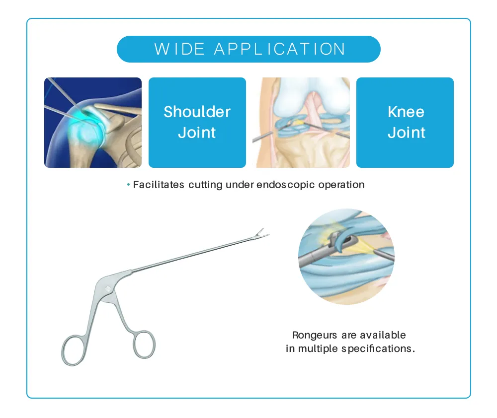 Application Scenario