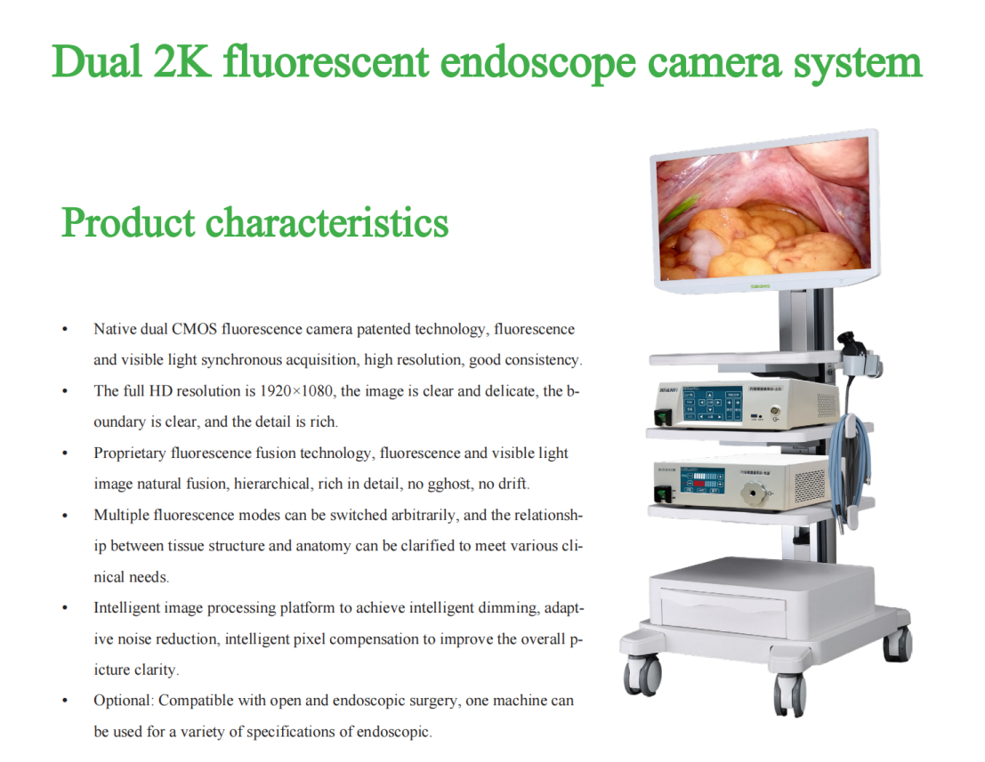 Professional Surgical Instrument Set Hospital Endoscope System Visualization Tool