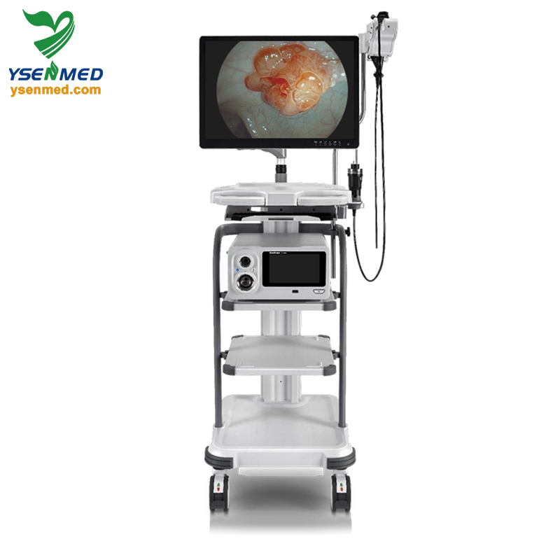Sonoscape X-2600 Multi-Compatible Integrated Endoscopy Solutions Video Endoscopy System