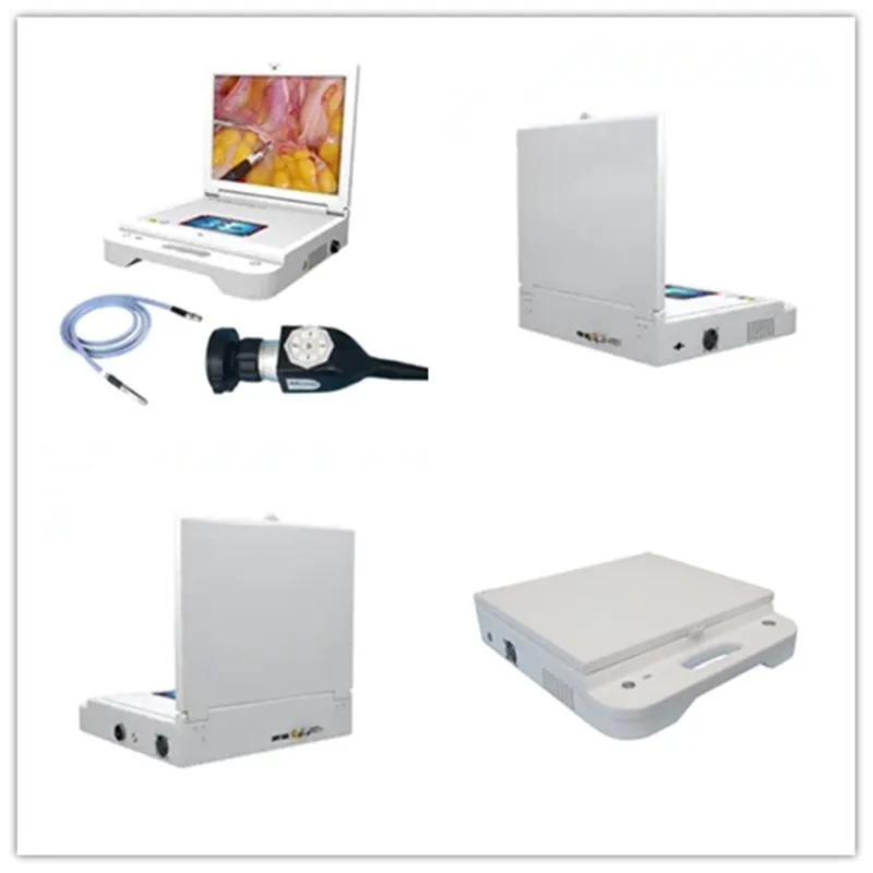 Portable Endoscope System Interface