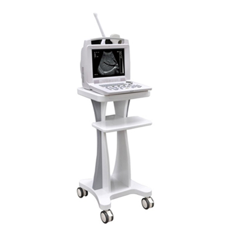 Factory Direct Sales Black and White Digital Ultrasonic Imaging System