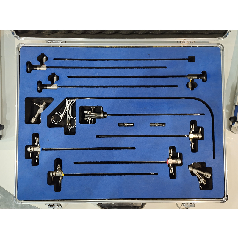 Medical Rigid Endoscope Set Urology Cystoscope Surgical Instruments