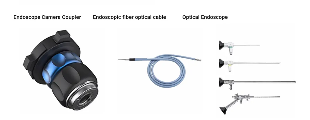 Endoscope System 12