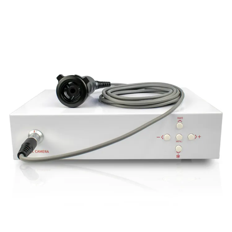 Endoscope Imaging System 2
