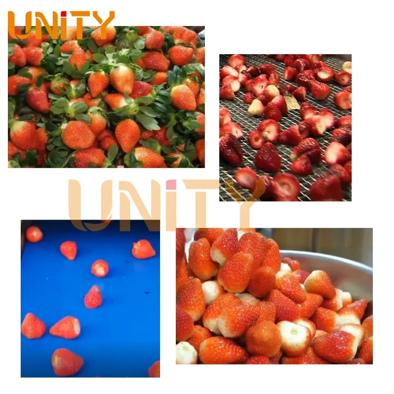 Food Processing Robot