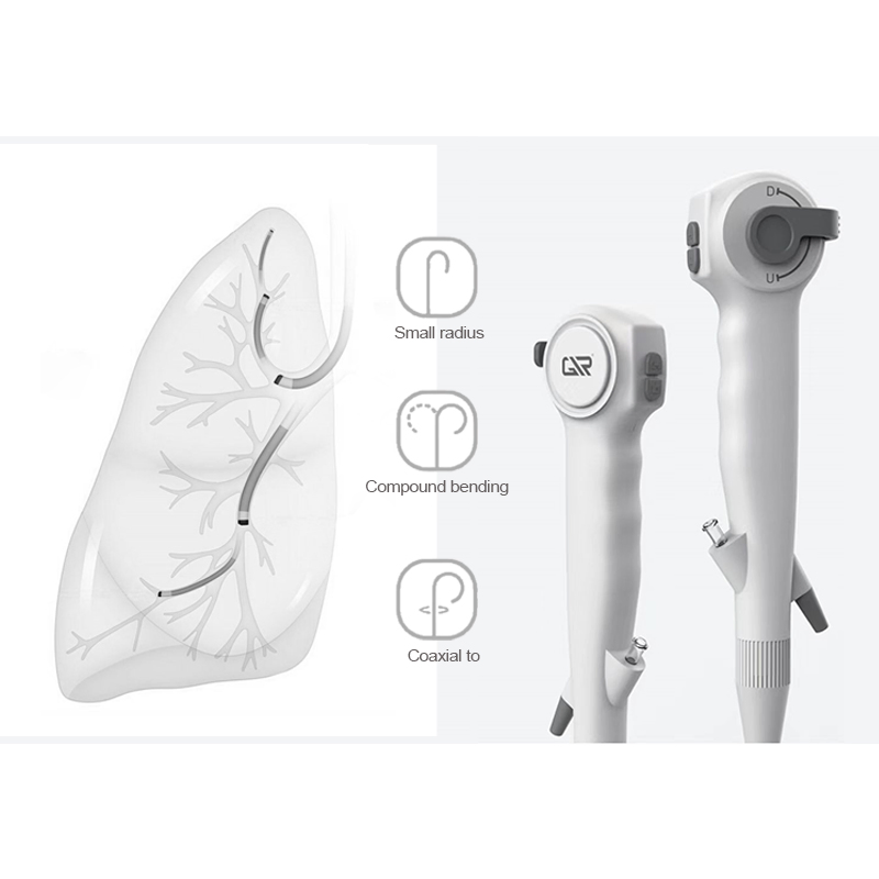 Flexible Cystoscope Endoscope System with Light Source and Camera