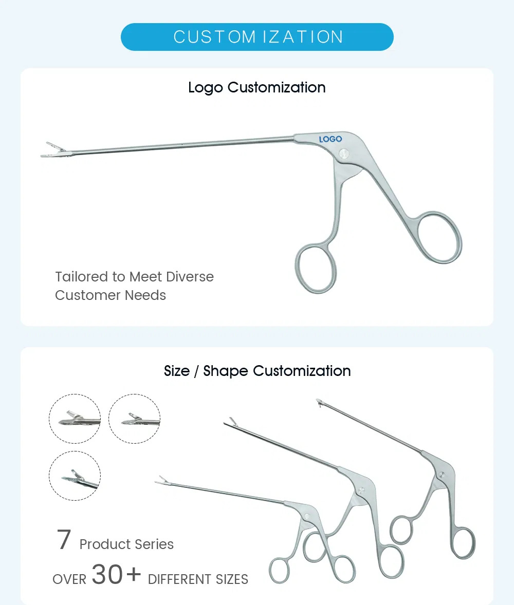 Customization Options