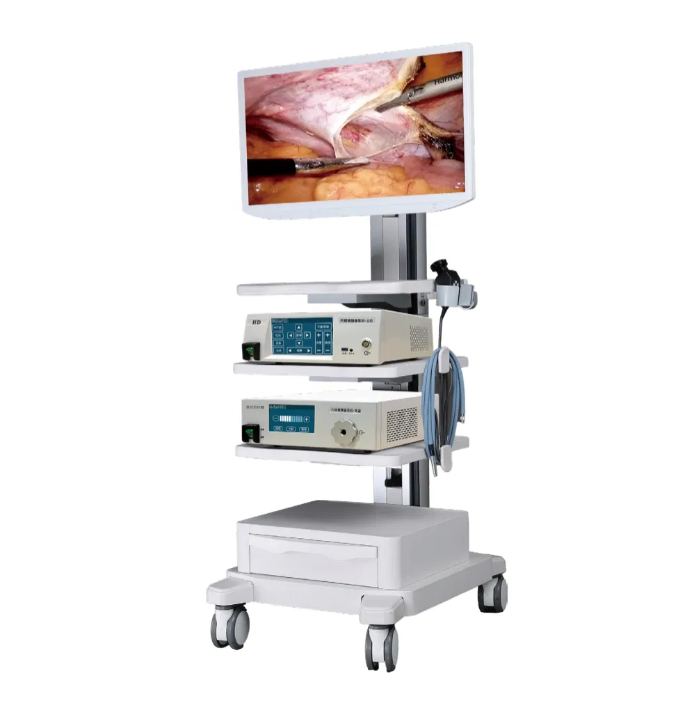 Professional Surgical Instrument Set Hospital Endoscope System Visualization Tool