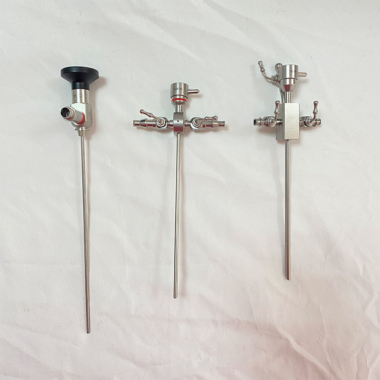 Professional Medical Equipment Ent Rigid Endoscope 4mm Rhinoscope Cystoscope Human Ear Otoscope System