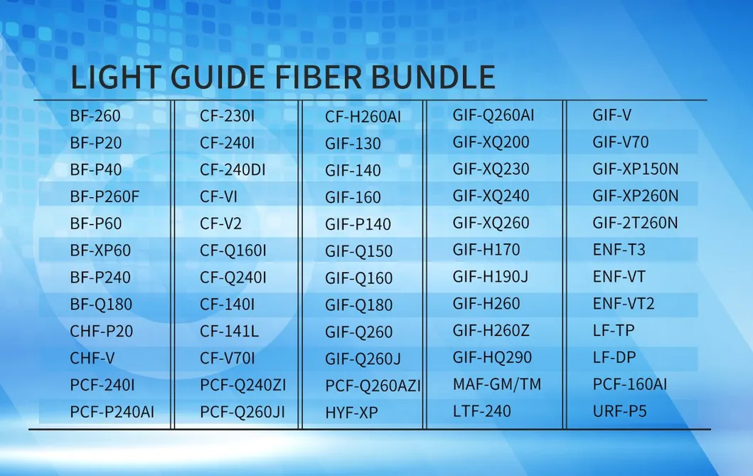 Fiber Bundle Detail 3
