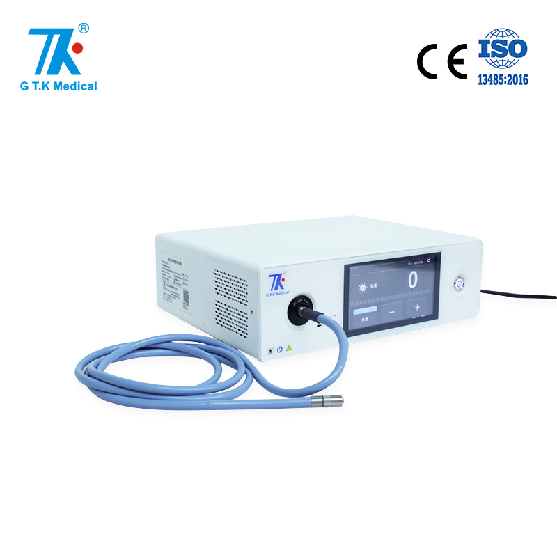 Hot Selling Portable Ent Endoscope Camera System with Light Source Mdr CE