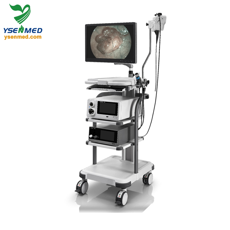 Sonoscape X-2600 Multi-Compatible Integrated Endoscopy Solutions Video Endoscopy System