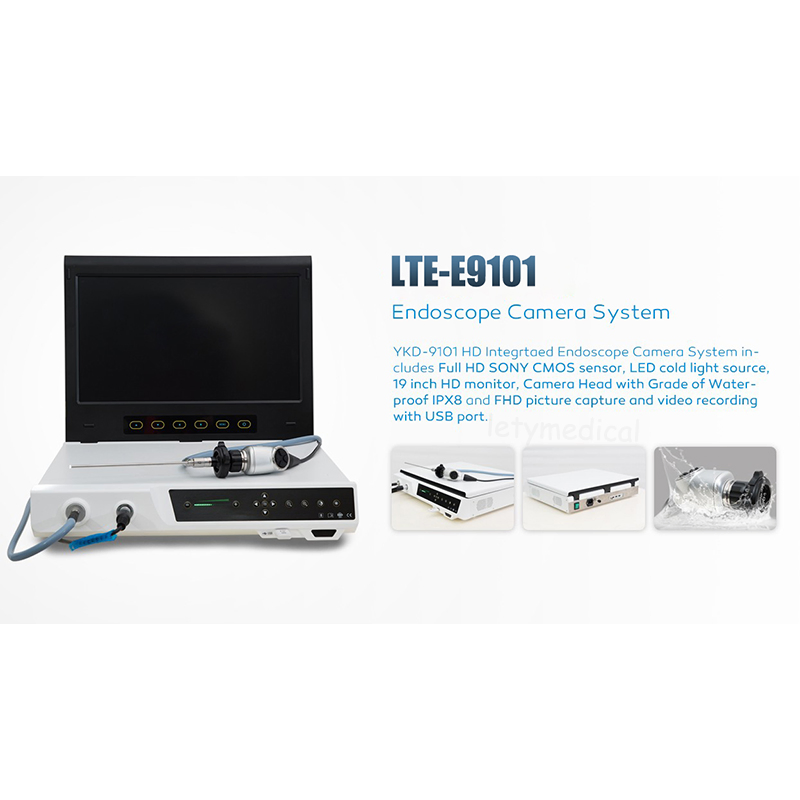 19 Inch Full HD Portable Endoscope Camera Built-in LED Cold Light Source Endoscope System