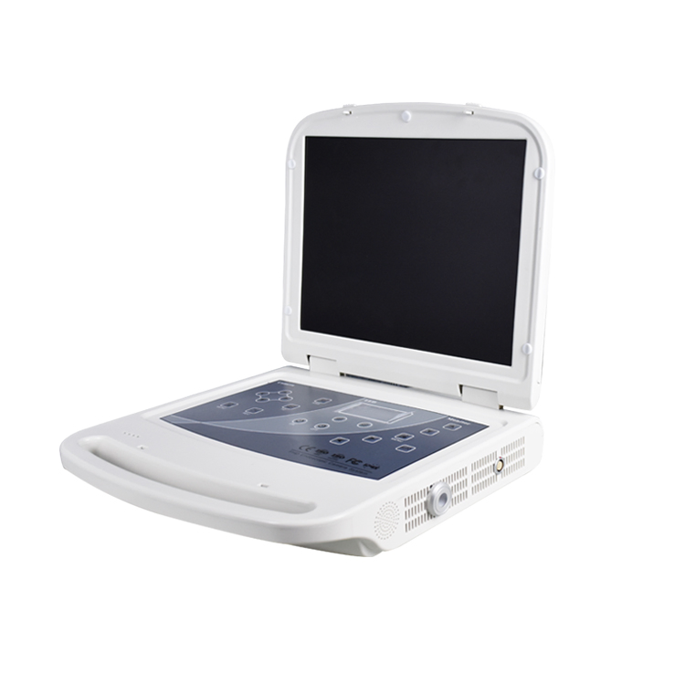 Advanced Affordable Integrated Endoscopic System for Medical Imaging