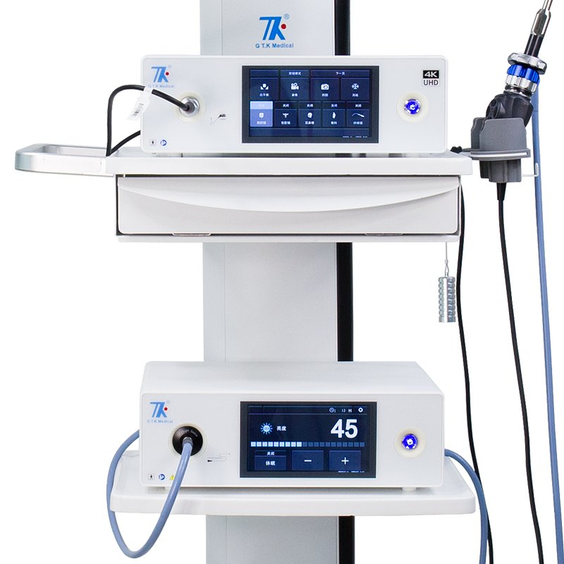 Hot Selling Portable Ent Endoscope Camera System with Light Source Mdr CE