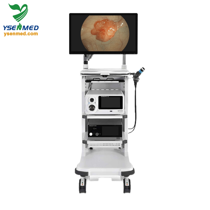 Sonoscape X-2600 Multi-Compatible Integrated Endoscopy Solutions Video Endoscopy System