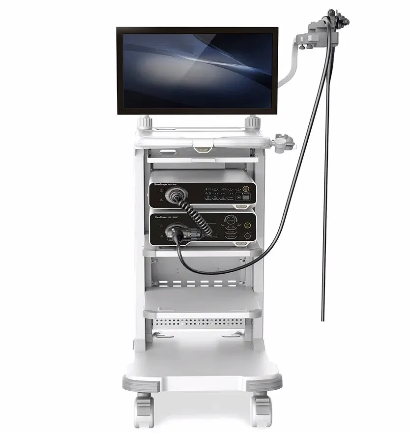 Endoscope System 2