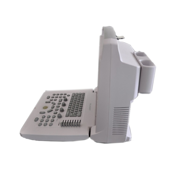 Factory Direct Sales Black and White Digital Ultrasonic Imaging System