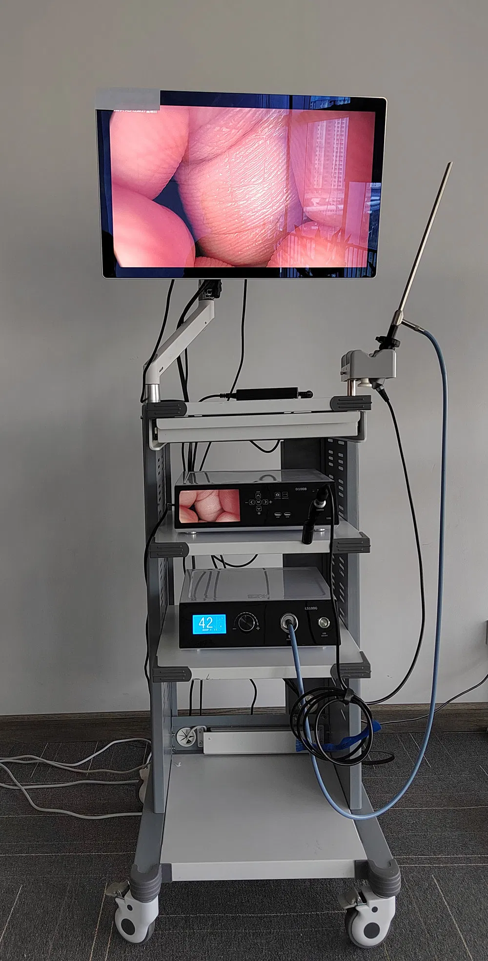 Clinical Application Gallery