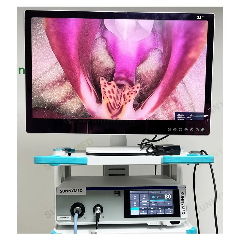 4K Endoscope system