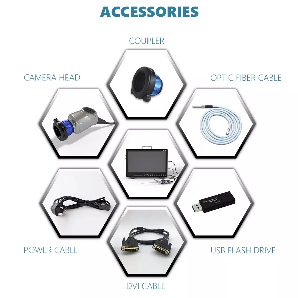 Endoscope System Detail 2