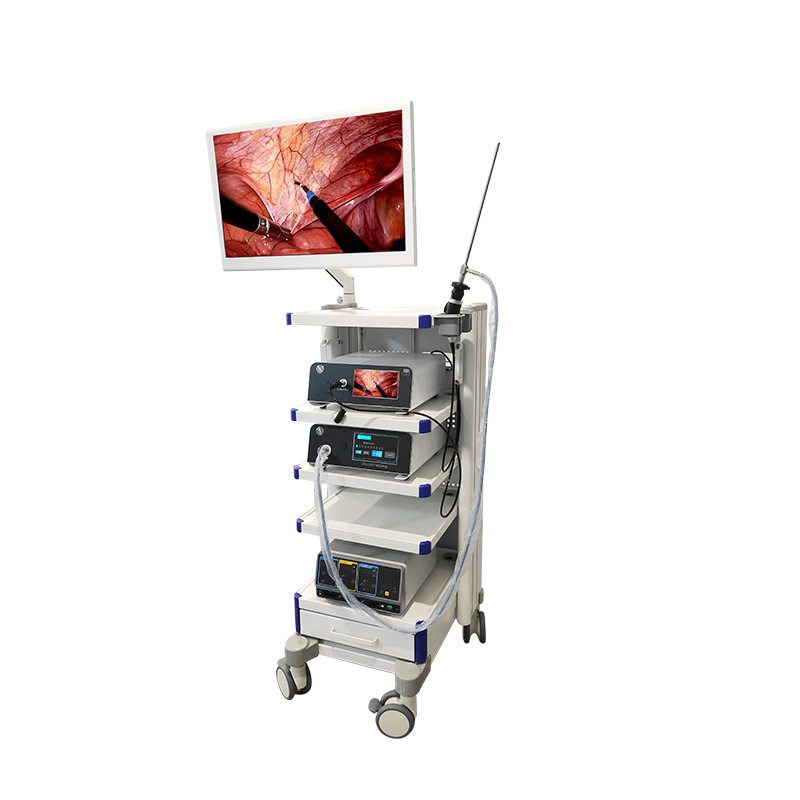 1080P FHD Gynecology Endoscopy Tower Endoscopic Imaging System with Full Accessories and Recording