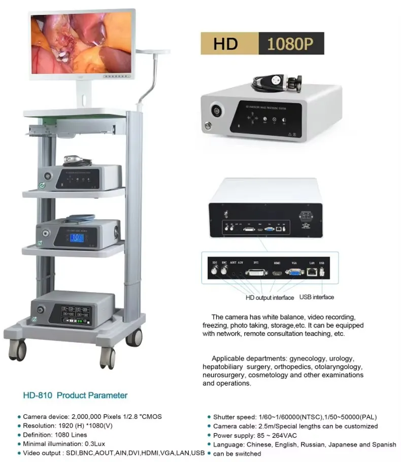 Advanced Endoscopic Display