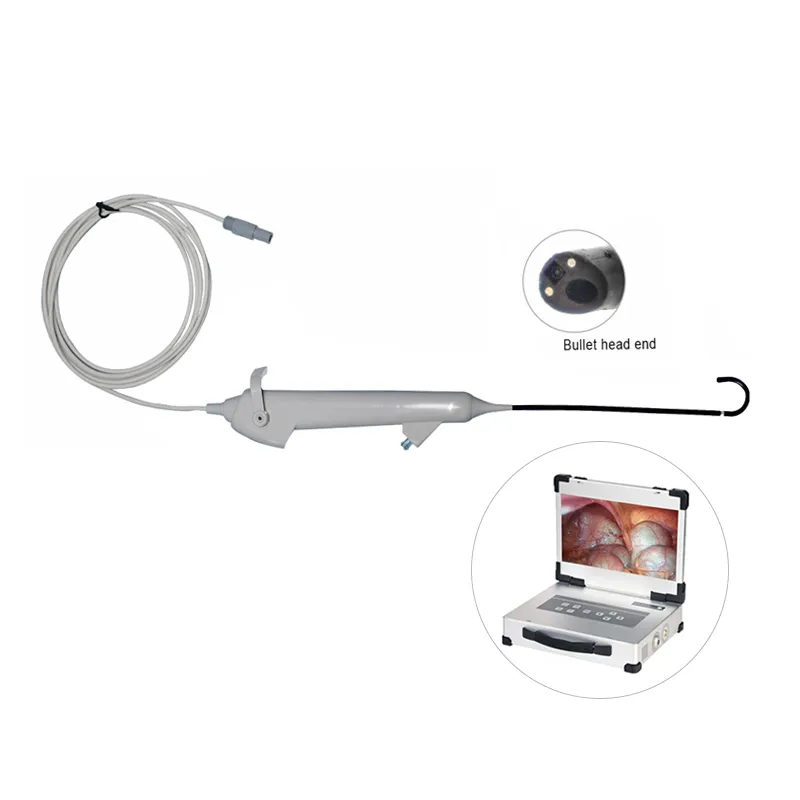 Endoscope System
