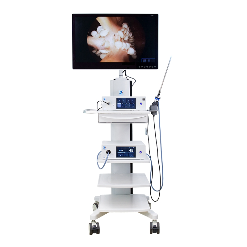 Top1 Manufacturer Arthroscopy Ent Video Endoscope Camera Endoscopy System with Cold Light Source for Clinic Hospital Surgical Use