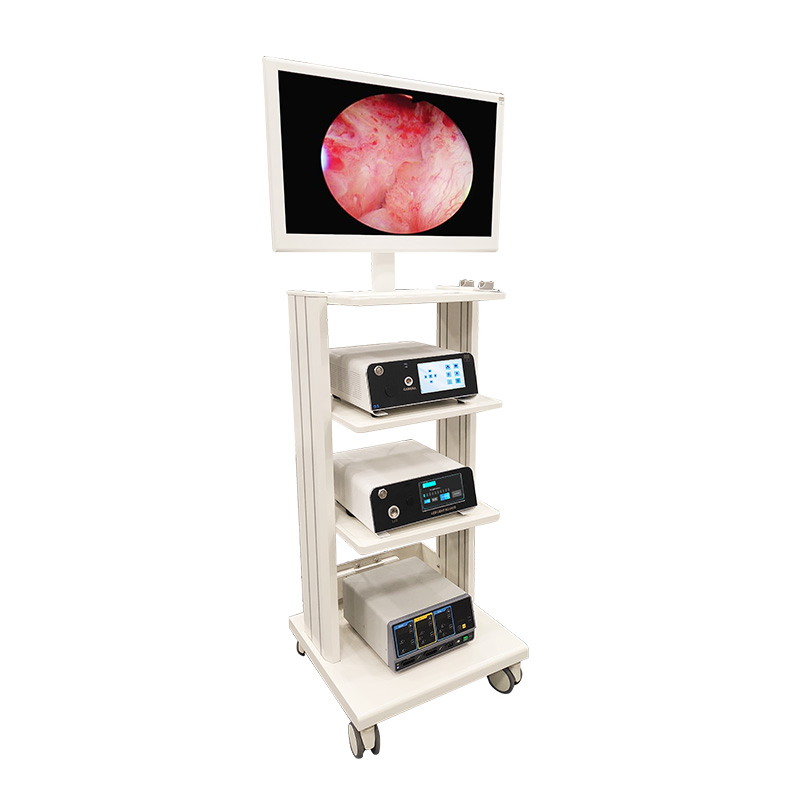 1080P FHD Gynecology Endoscopy Tower Endoscopic Imaging System with Full Accessories and Recording