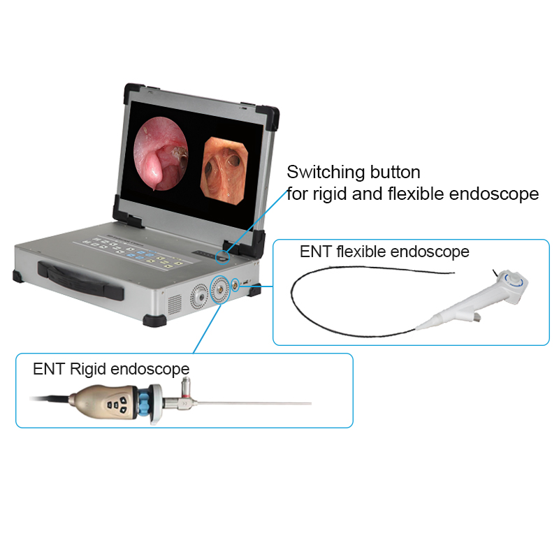 Factory Price Flexible and Rigid Endoscopic Camera System for Ent Equipment