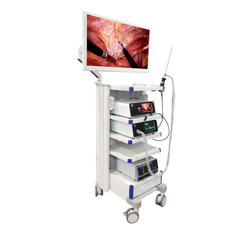 1080P FHD Gynecology Endoscopy Tower Endoscopic Imaging System with Full Accessories and Recording