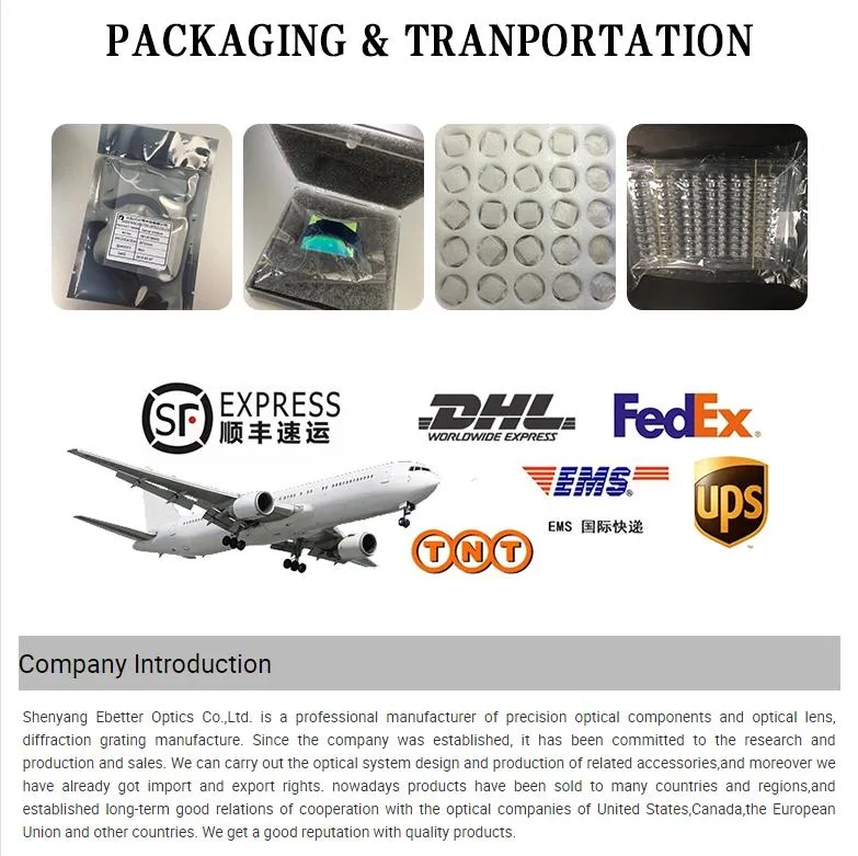 Optical Rod Lens Detail