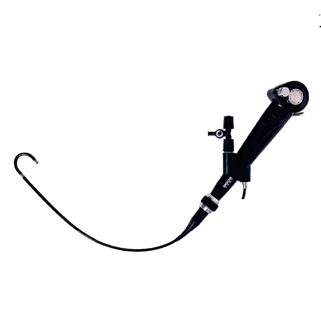 Flexible Cystoscope Detail 2