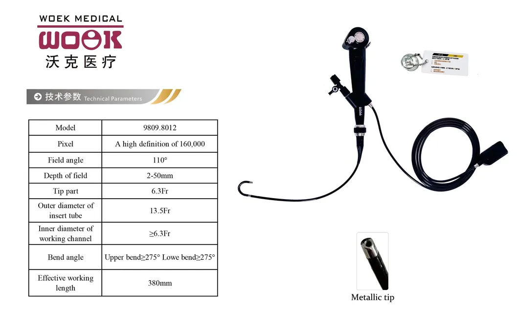 Flexible Cystoscope Detail 3