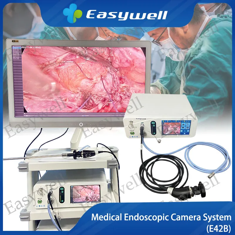 4K Endoscope Imaging System