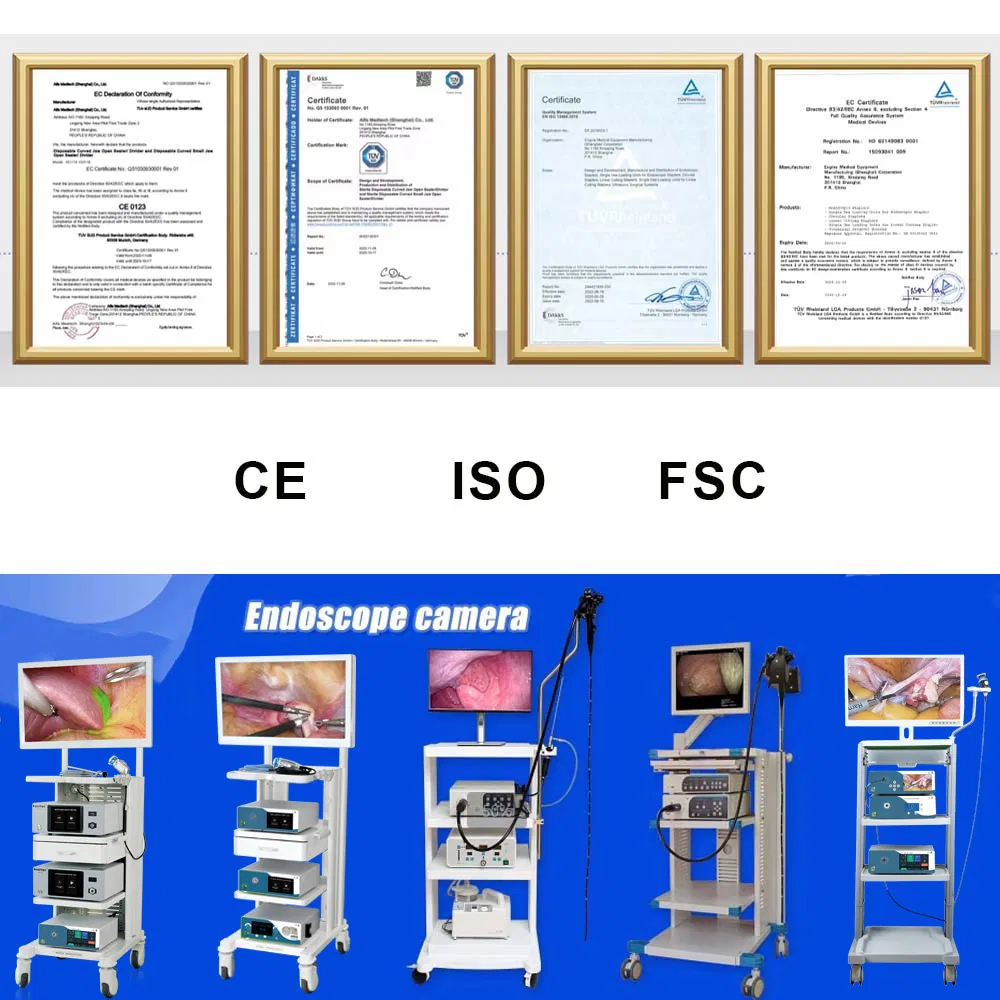 High Quality Light Cold Source Camera Laparoscope Ent HD Rigid Endoscope System