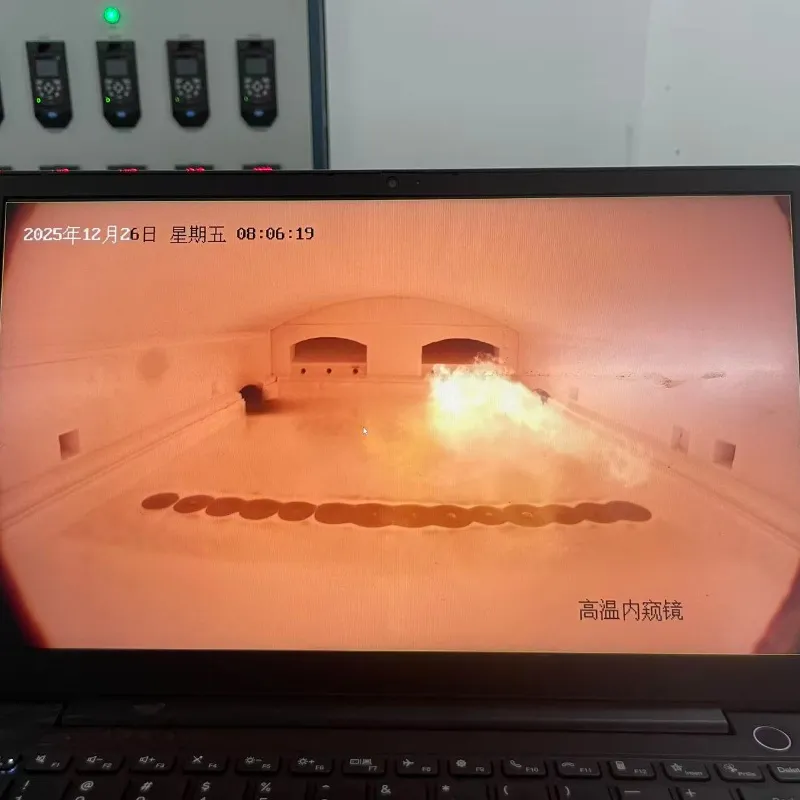 Flame Process Control System 2