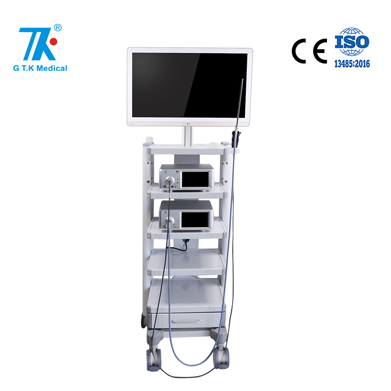 Arthroscopy Ent Video Endoscope Camera System with Cold Light Source for Surgical