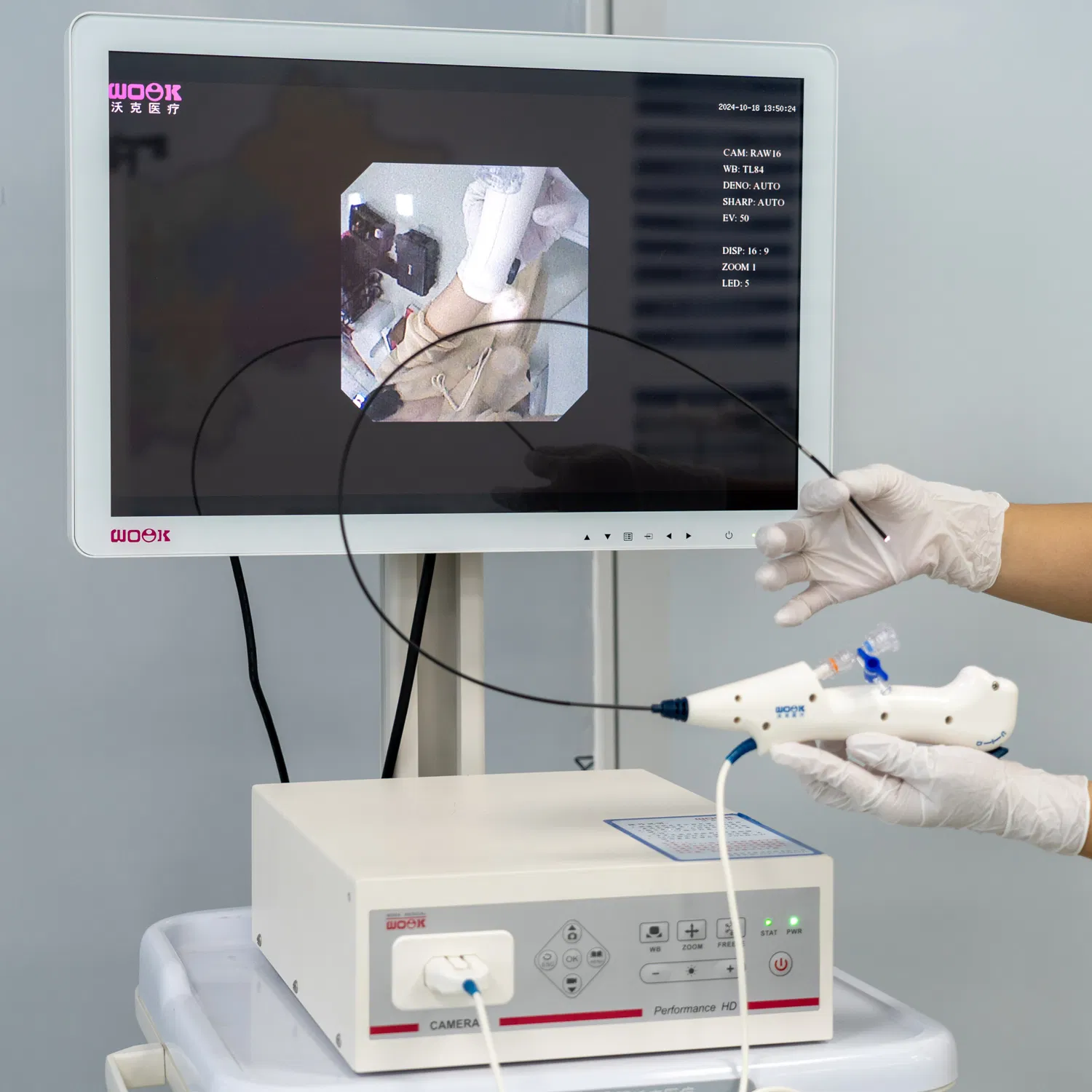 Hot Sale Single Use Flexible Ureterorenoscope Disposable Surgical Medical Instruments