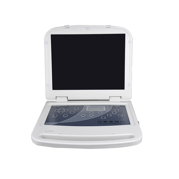 Advanced Affordable Integrated Endoscopic System for Medical Imaging