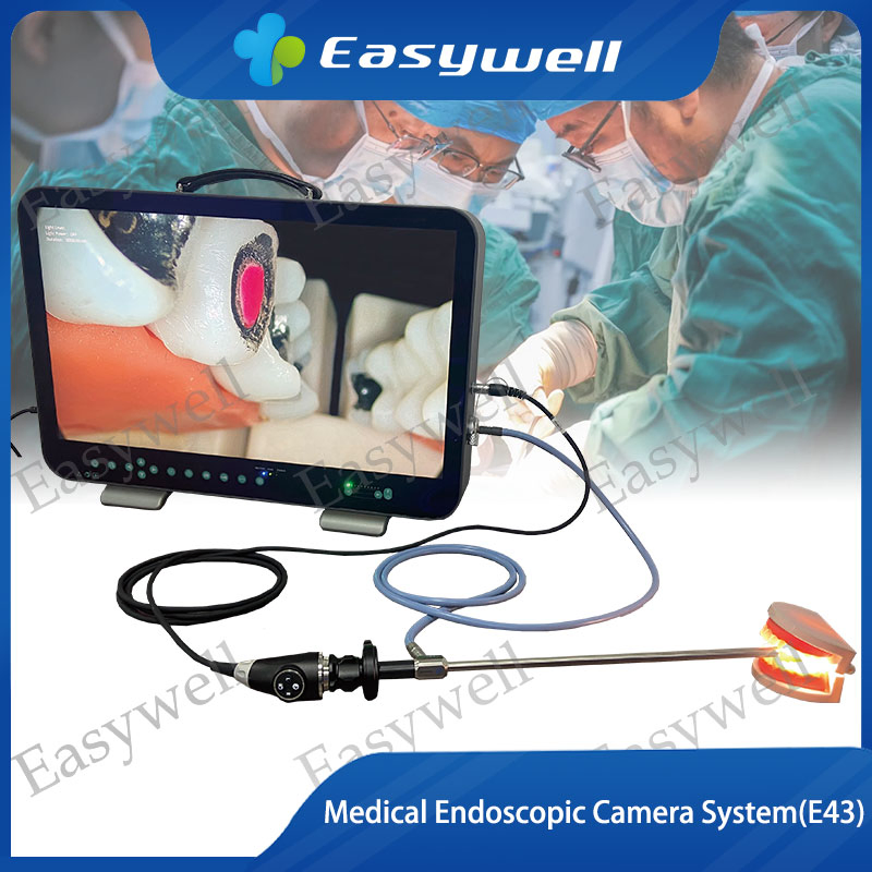 Easywell 3 in 1 4K Endoscopic Imaging System E43 for Medical Endoscope