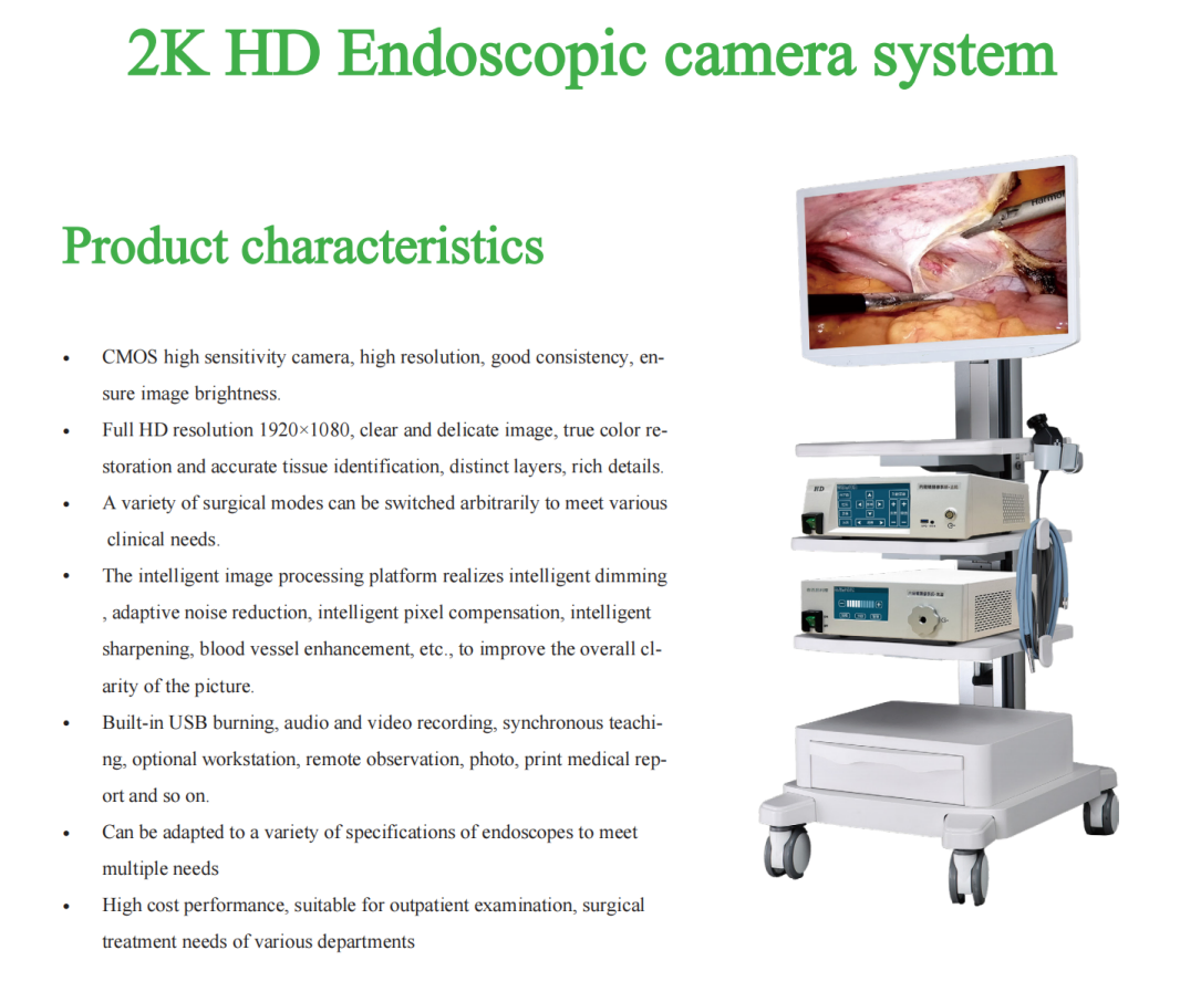 Professional Surgical Instrument Set Hospital Endoscope System Visualization Tool