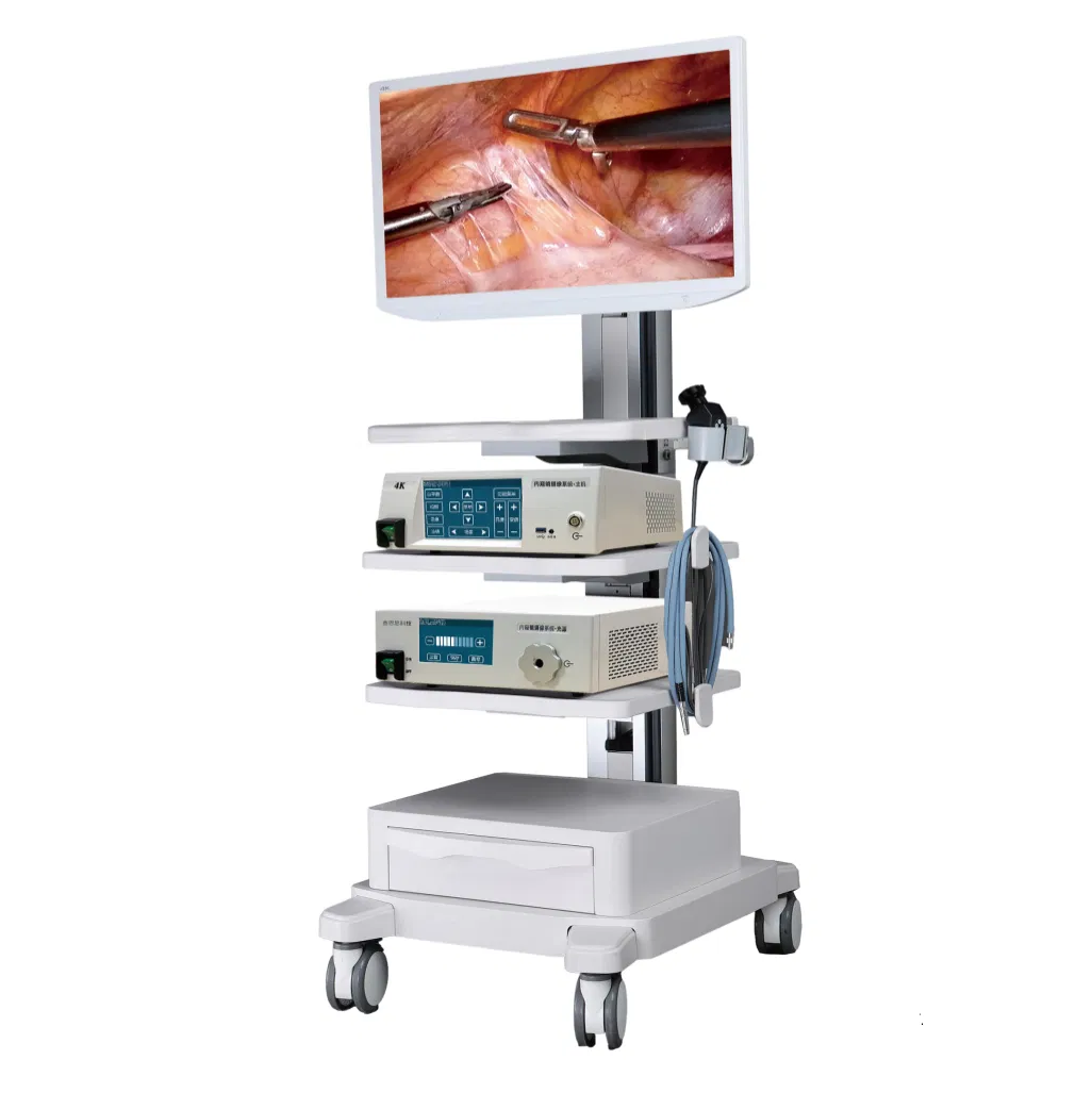 Professional Surgical Instrument Set Hospital Endoscope System Visualization Tool