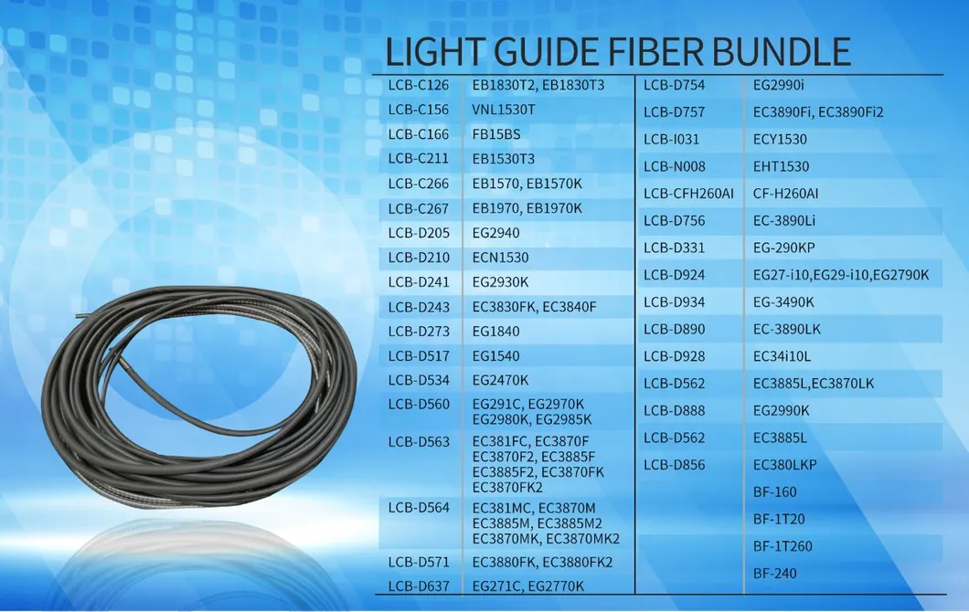 Fiber Bundle Detail 2